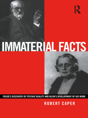 cover image of Immaterial Facts